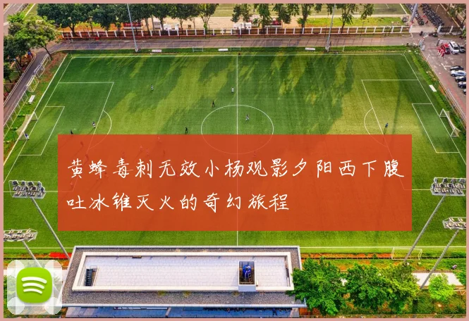 黄蜂毒刺无效小杨观影夕阳西下腹吐冰锥灭火的奇幻旅程