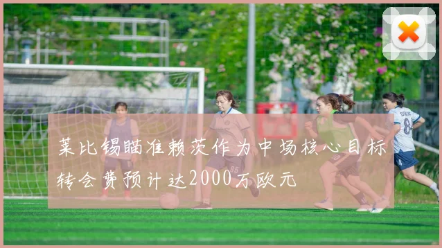 莱比锡瞄准赖茨作为中场核心目标转会费预计达2000万欧元